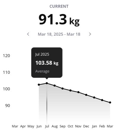 Ali's weight graph, from 103.6kg down to 91.3kg over the year